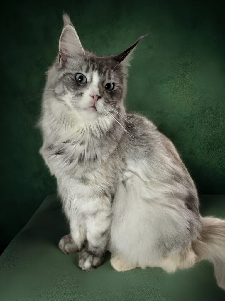 82fcc1b3-487b-4a0b-8702-d83bbe1cc7d1