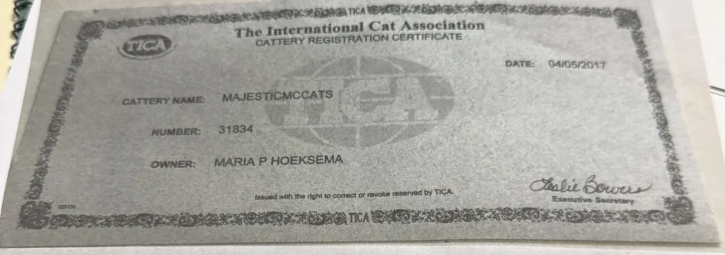 Tica registered cattery certificate for majestic maine coon cats in canton ga