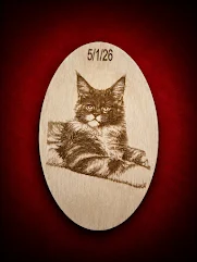 Wood engraving black white Maine Coon kitten setting pretty